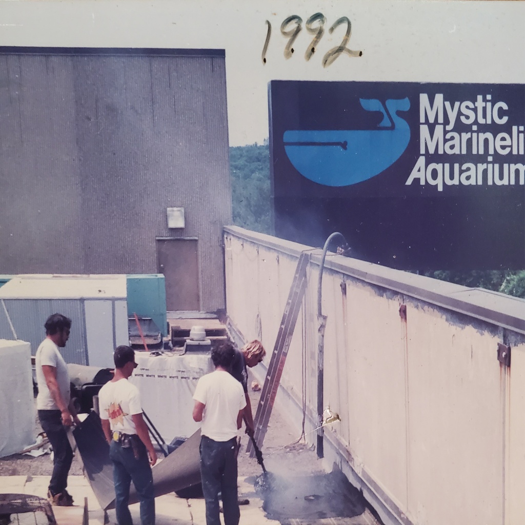 Mystic Aquarium's new roof from 1992