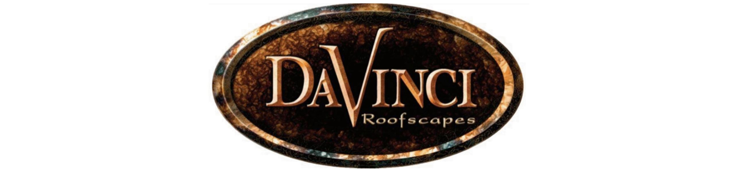 davinci2