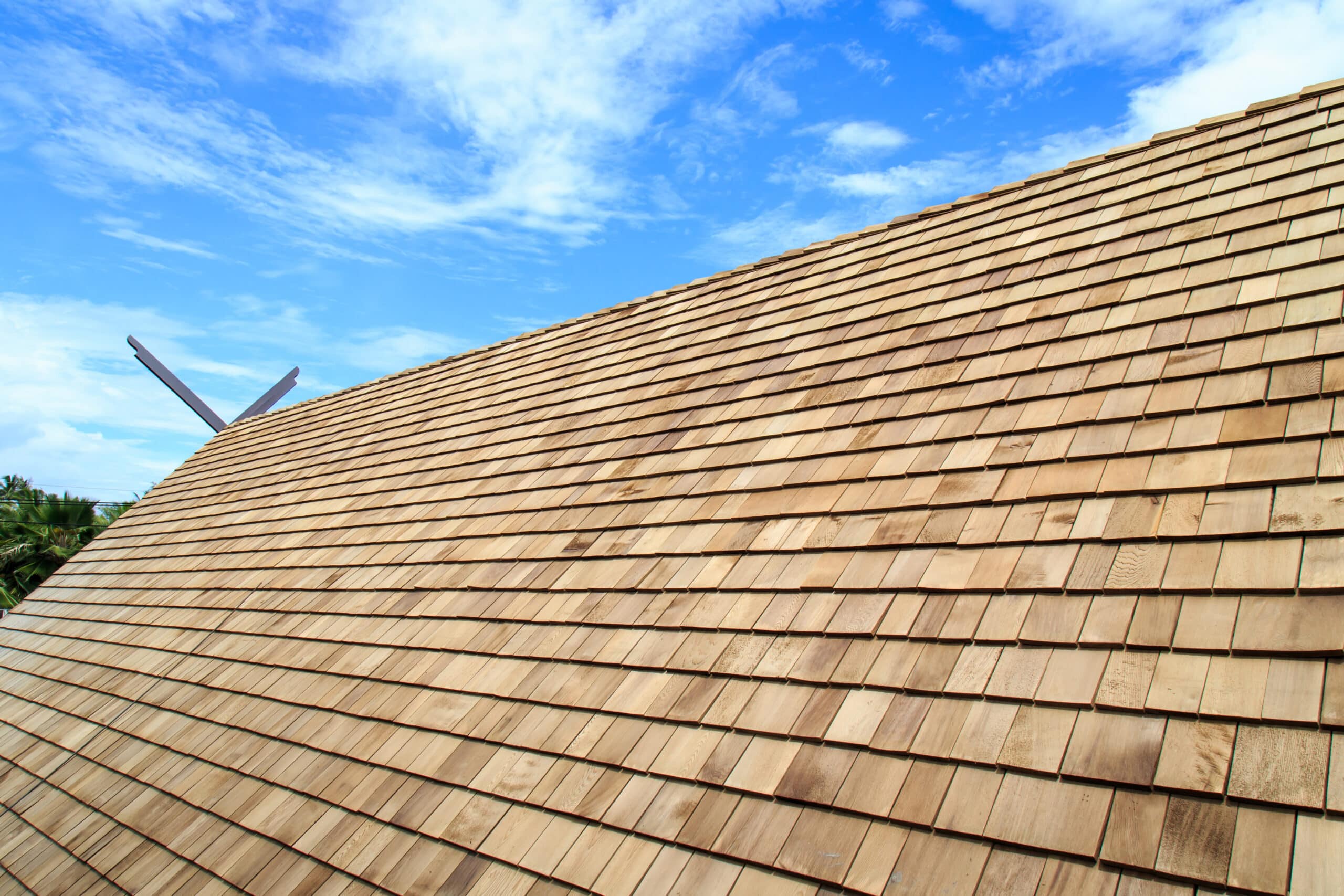 Cedar Shake Shingle
