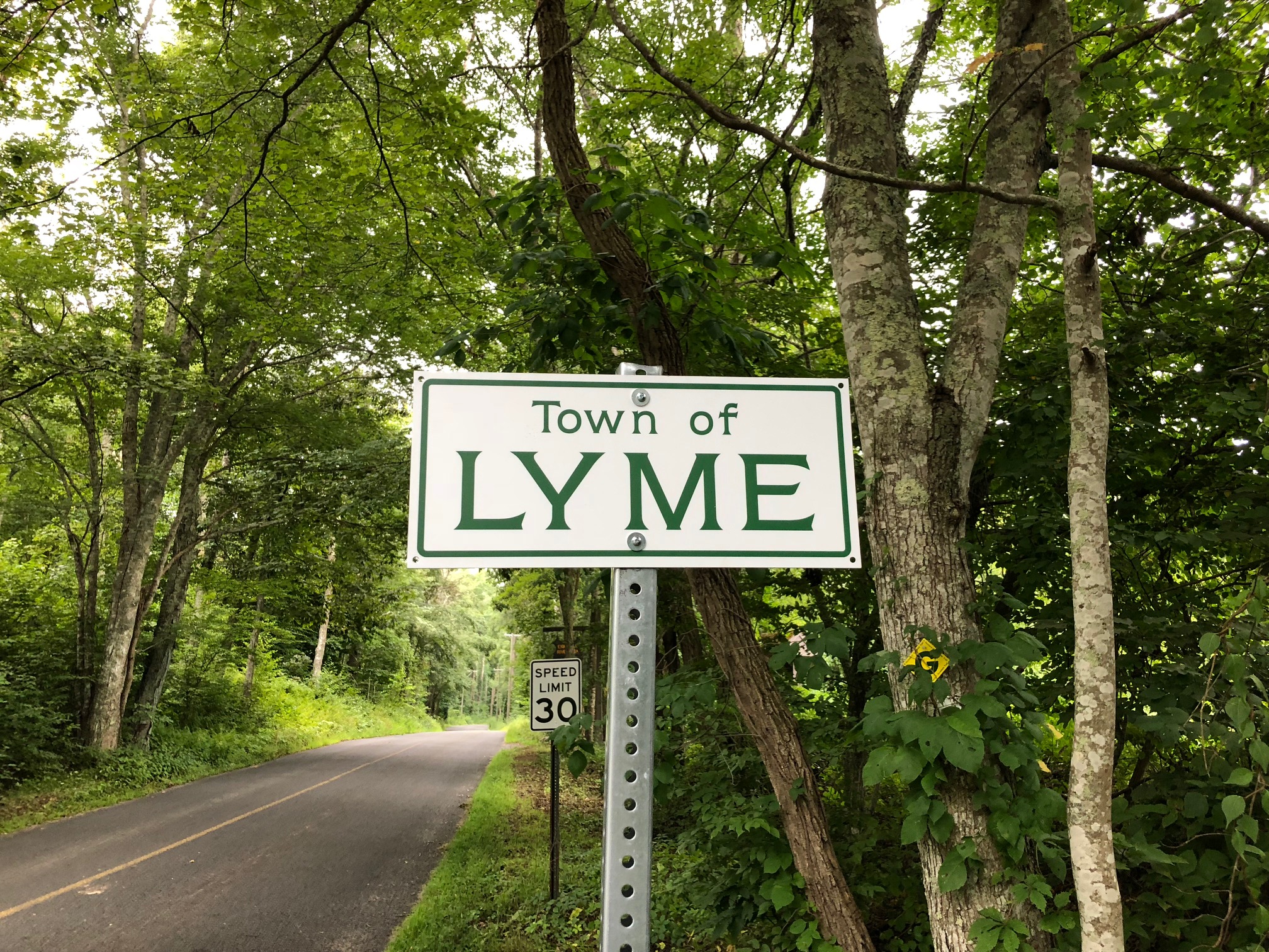 lyme connecticut