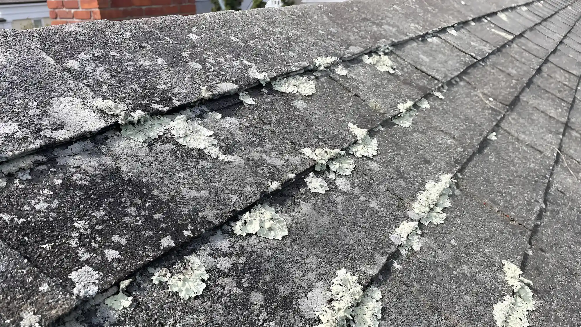Warning signs of roof deterioration requiring professional roofing inspection and repairs before October storms.